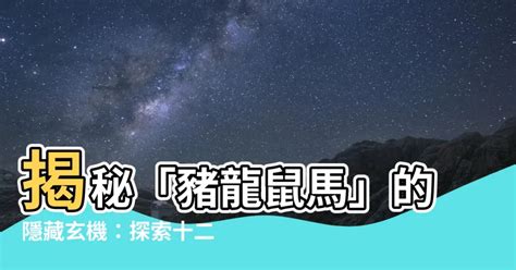 豬龍鼠馬的意思|【豬龍鼠馬意思】揭秘「豬龍鼠馬」的隱藏玄機！快來一探。